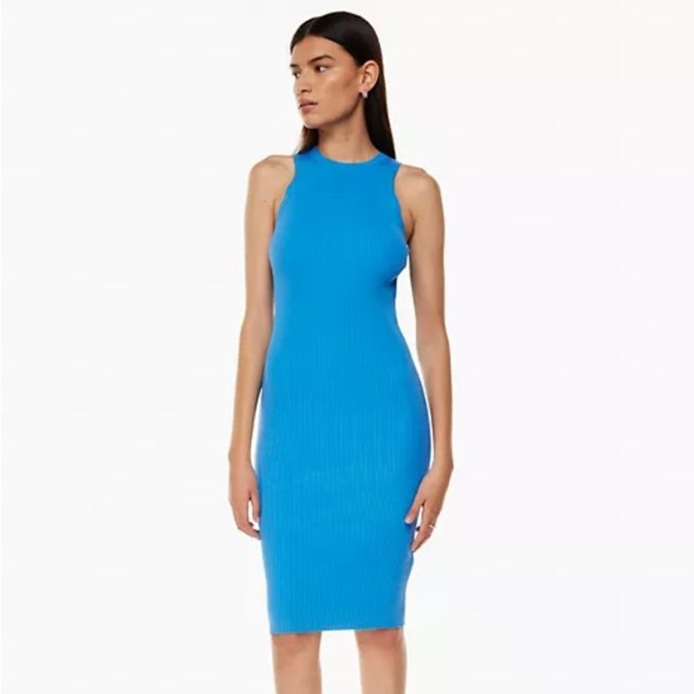 Aritzia Wilfred Moonstruck Dress - new condition